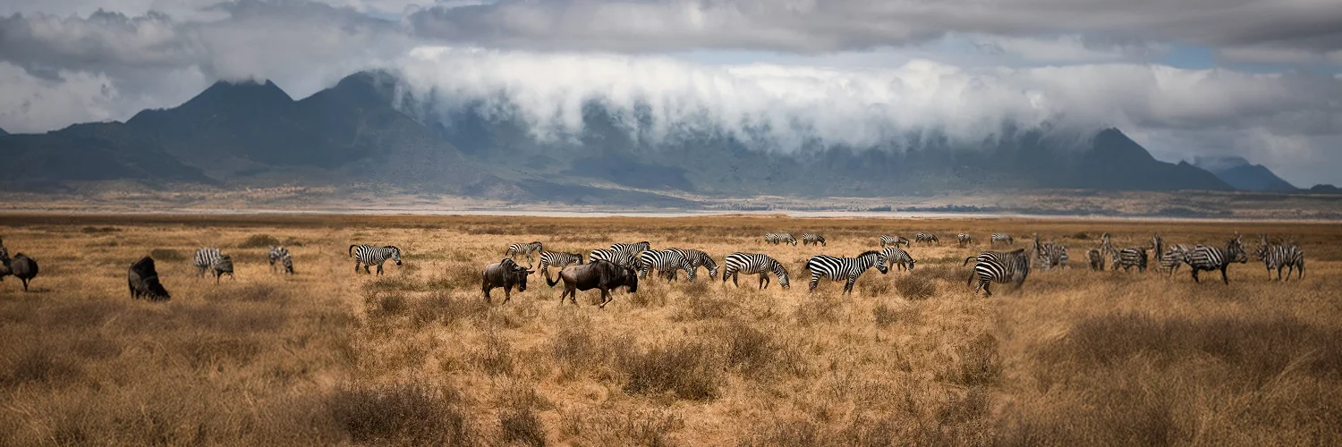 mariola-grobelska-sLA88T3PyOU-unsplash 1.webp